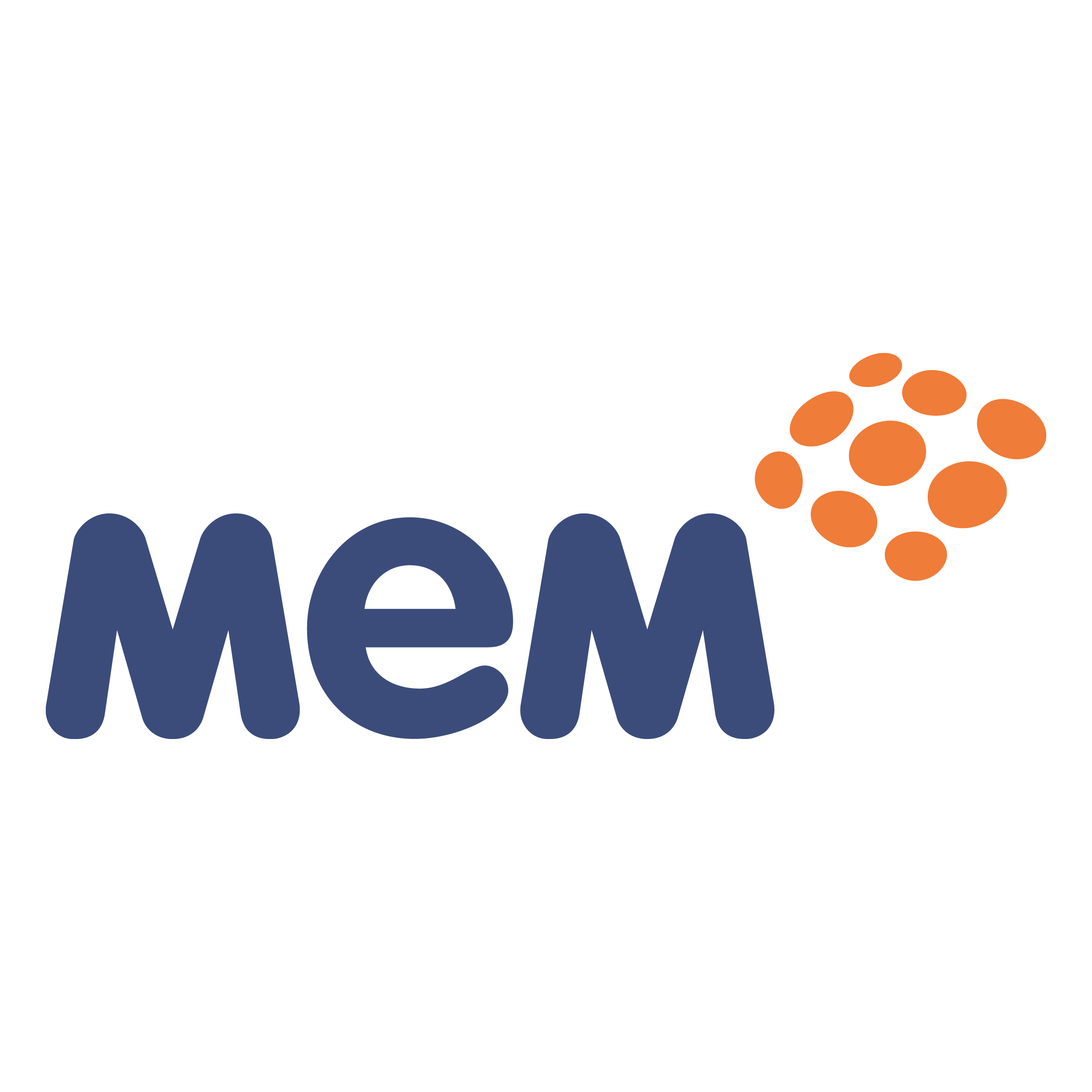 MEM Logo